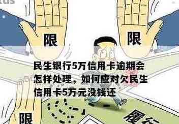 民生信用卡欠款5万不还款的后果与解决方法：用户全面指南