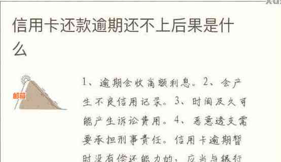 小黑鱼的信用挑战：逾期还款会如何影响我的信用卡？