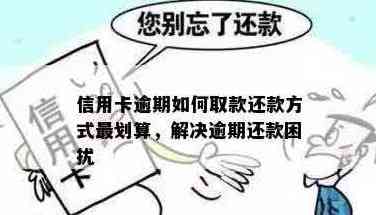 逾期还款困扰，如何比较信用卡欠款最划算的解决方案