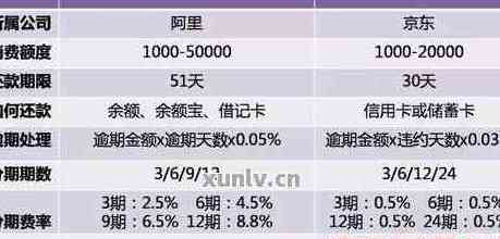 信用卡与消费还款优先选择：哪个更优？