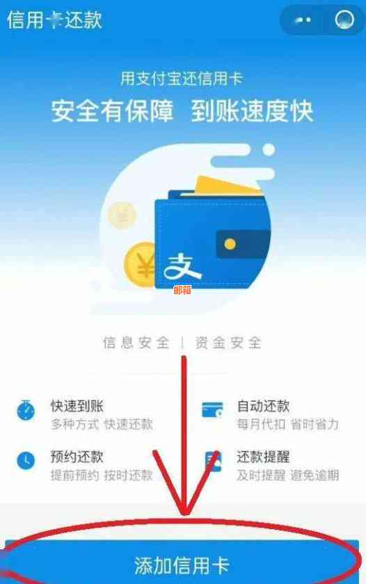 新如何使用支付宝实现信用卡代还及操作指南