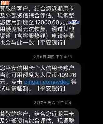 平安银行信用卡超额度消费：如何避免罚款、如何恢复信用额度及应对措详解