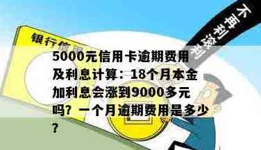 信用卡逾期5000元一个月利息计算：如何避免高额还款费用