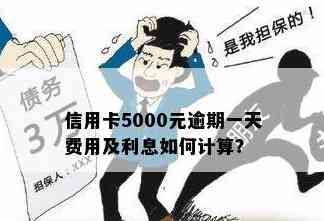 信用卡逾期5000元一个月利息计算：如何避免高额还款费用