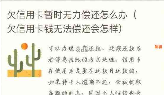 信用卡欠款40万的还款策略与解决方法，让你轻松摆脱债务困扰