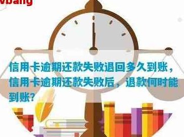 信用卡还款失败怎么办？支付宝使用指南教你避免逾期