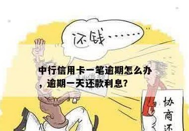 中行信用卡逾期还款一周会有什么后果及解决方案