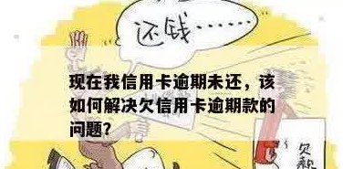 有没有欠了信用卡没还的大神，求教如何解决信用卡逾期问题？