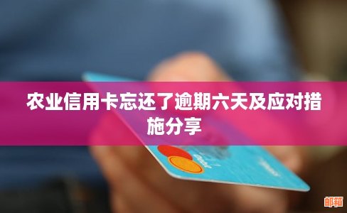 逾期还款的信用卡问题解决策略：忘记还款怎么办？