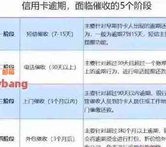 信用卡还款后多久可以再次使用？了解恢复信用额度的时间表及注意事项