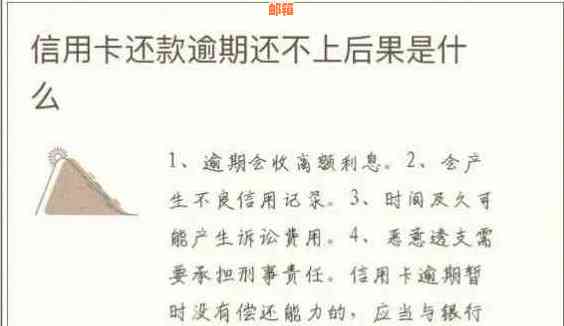 信用卡还款错误应对策略：如何更正、追回损失与防止未来问题