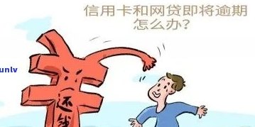 信用卡欠款每月还款100元是否构成诈骗行为？解答与分析