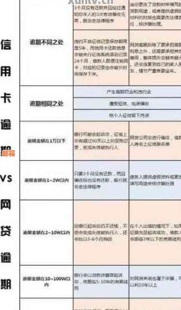 信用卡还款后更新周期：了解详细时间以提高信用评分