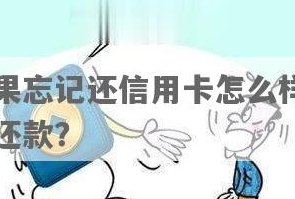 信用卡还款怎么看还没还