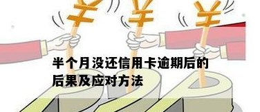 信用卡逾期半个月还款的后果及解决方法