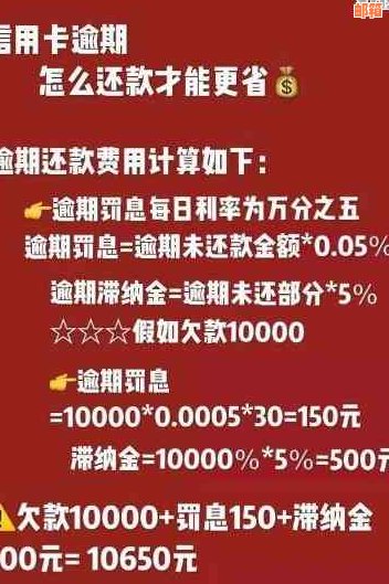 比较先还网贷还是信用卡：哪个更划算？还款策略和注意事项全解析