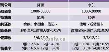 比较先还网贷还是信用卡：哪个更划算？还款策略和注意事项全解析