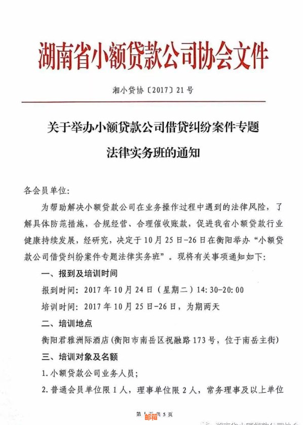 肥城地区探讨小额民间贷款：解决纠纷的新思路与民事诉讼案例分析