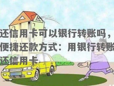 信用卡还款，能否使用蓄卡进行转账？