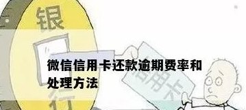 微信信用卡还款故障：原因、解决办法及逾期影响详解