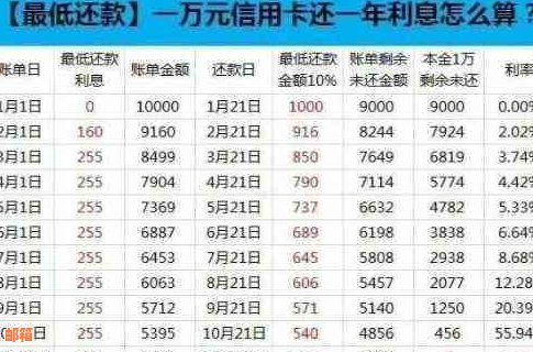 怎么还信用卡办法：最方便、最划算的还款方式