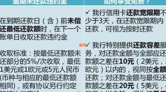 信用卡还款后，款项何时到账？当天还清当天入账的可能性及相关因素