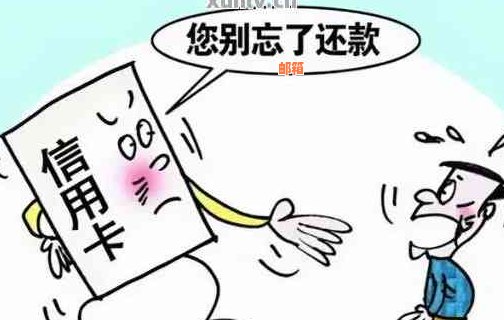 省呗怎么借钱还信用卡:如何利用省呗功能偿还信用卡债务