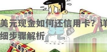 美金还款信用卡全攻略：详细步骤与知识了解