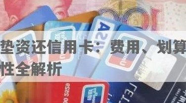 垫资还信用卡：费用、信贷办理及抵押贷款可行性全解析