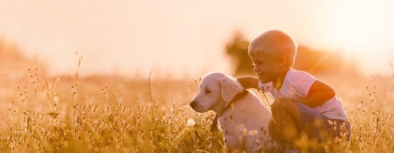 怎么替亲人还信用卡的钱