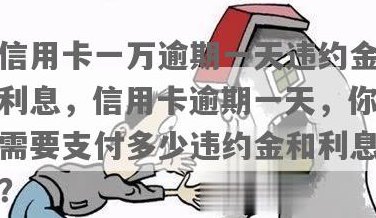 一诺万金还信用卡