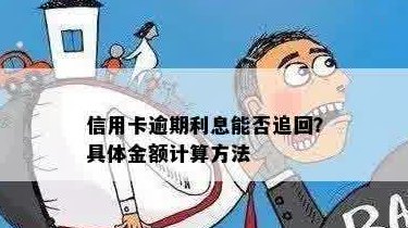 逾期未全额还款，如何追回信用卡产生的利息问题解答