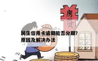 全民生活知识：逾期还款风险大，分期信用卡实用吗？