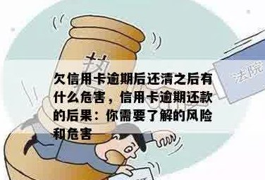 全民生活知识：逾期还款风险大，分期信用卡实用吗？