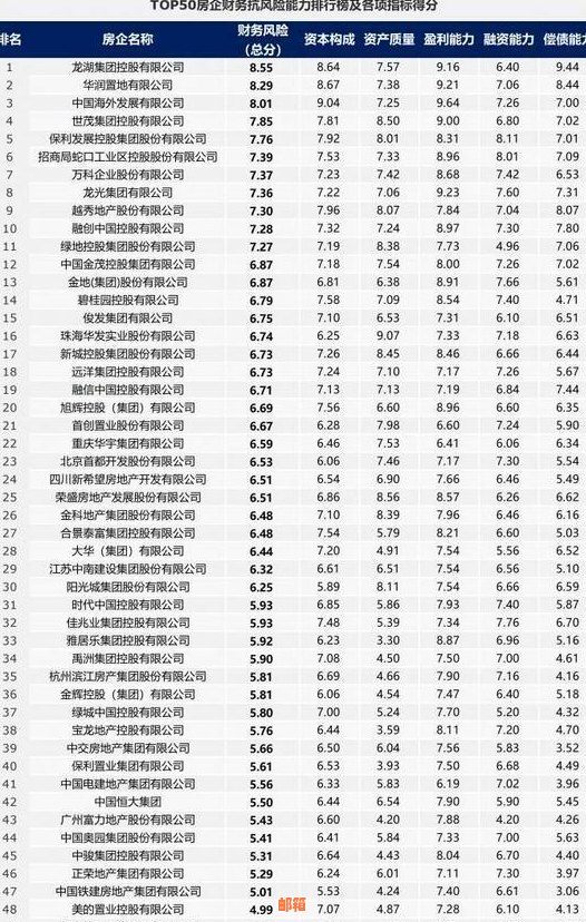 做信用卡代还：合法性、盈利性与风险分析及业务准备