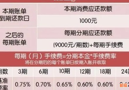 掌握信用卡还款技巧，轻松长还款时间