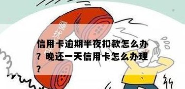 怎么还信用卡一天