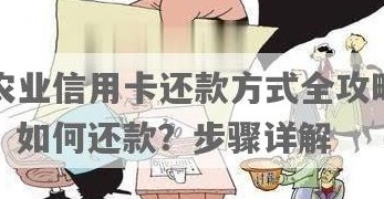 农业银行信用卡还款全攻略：详细步骤与多种方式解析