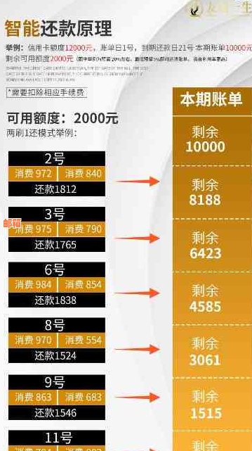 二十万信用卡还款策略：如何选择最合适的还款方式以实现更大效益？