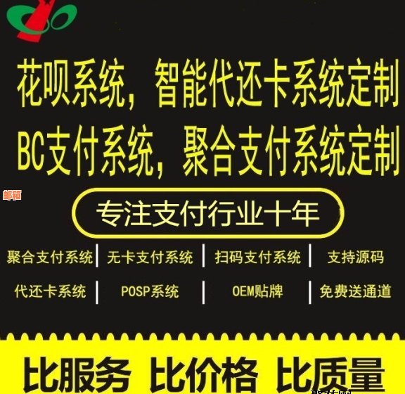 '全面解析如何通过推广代还信用卡平台实现盈利，以及需要注意的事项'