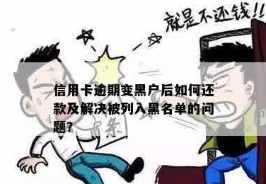 黑户信用卡已还清，如何处理后续事宜及重新申请信用卡的建议