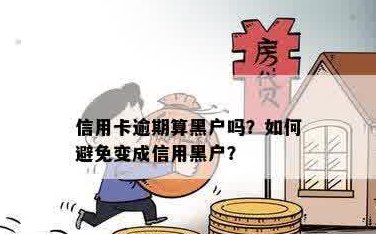 信用卡逾期导致受损，如何摆脱黑户困境？