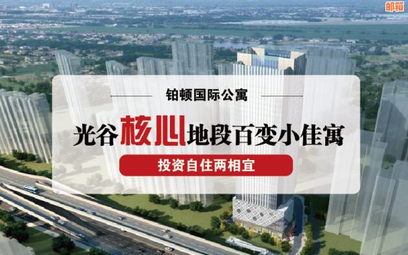 州国际公寓上都：详细点评与房价分析