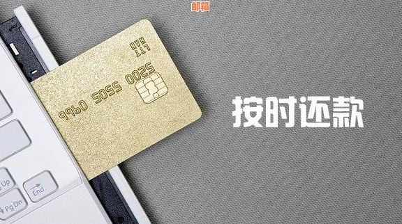 一键还款信用卡的全能软件：功能、优势与使用方法大揭秘！