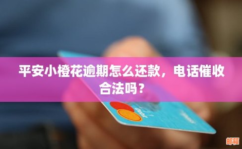 信用卡随还随借如何还款？了解信用卡带还操作流程