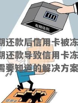 信用卡被冻结后，是否需要进行每月更低还款以避免影响？