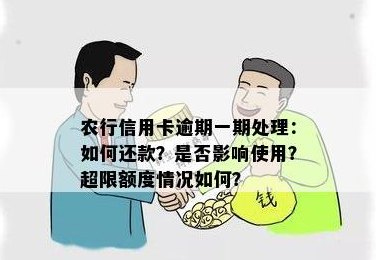 农行信用卡还款两次重复，如何处理以避免逾期？