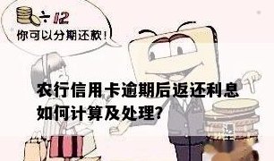 农行信用卡还款两次重复，如何处理以避免逾期？