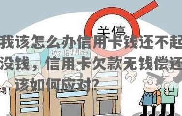 信用卡欠款问题：男的如何应对无钱还款的情况，以及可能的解决方案和建议