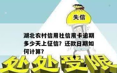 湖北农商行信用卡还款政策：宽限期、逾期处理及可能影响